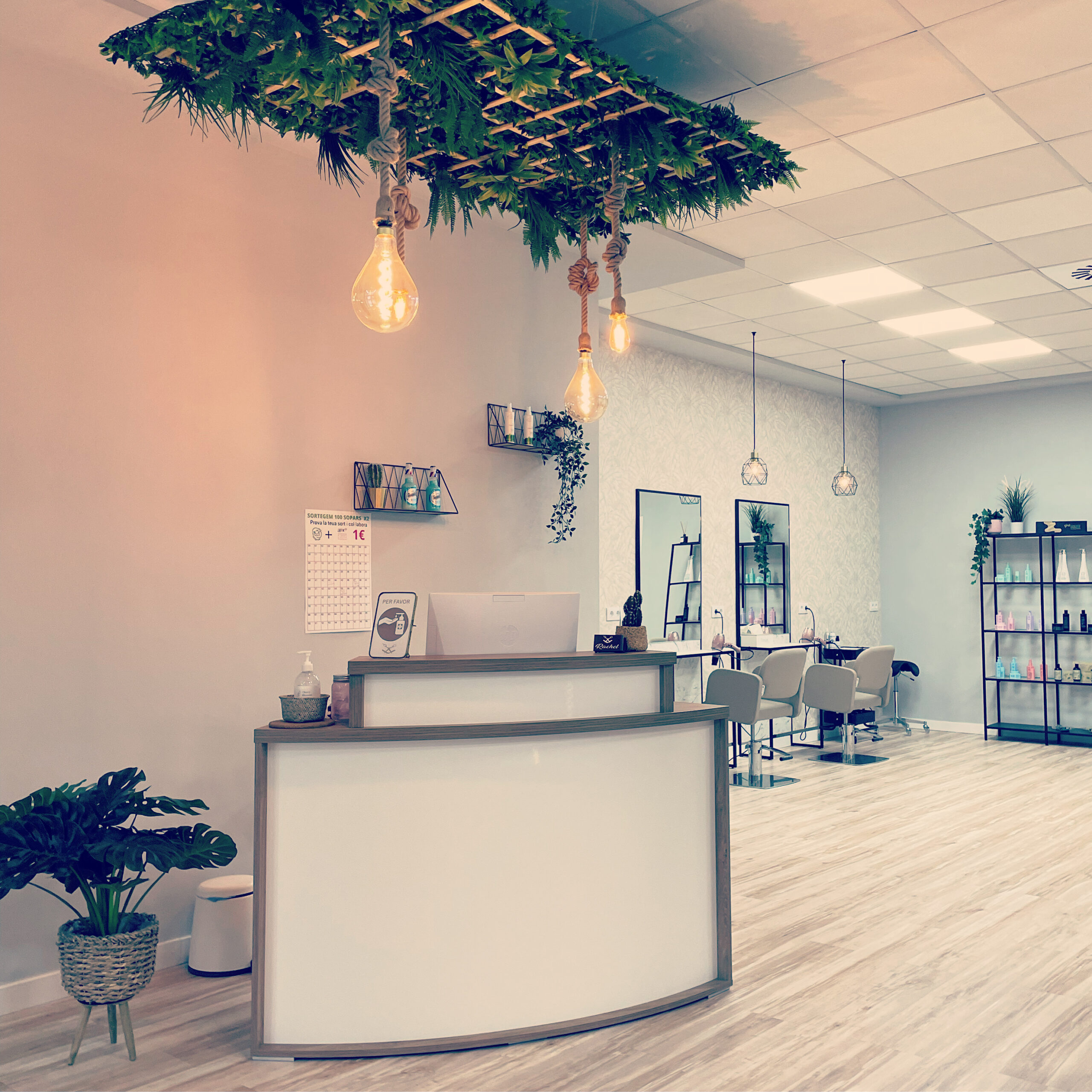 Diana Zoom Projects | Peluquería Ontinyent